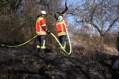 REMSHALDEN: Flaechebrand - Feuerwehr im Einsatz 